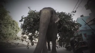 thumbnail - S2:E2 Sweet Revenge