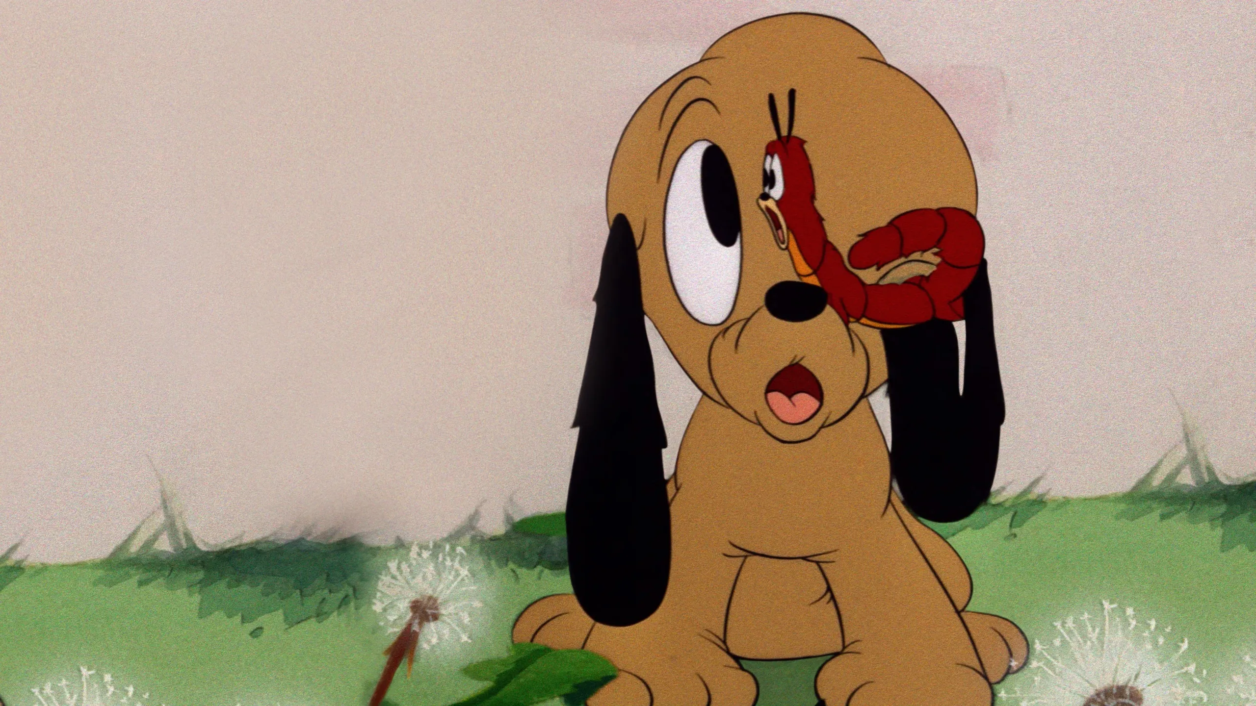 Pluto, Junior