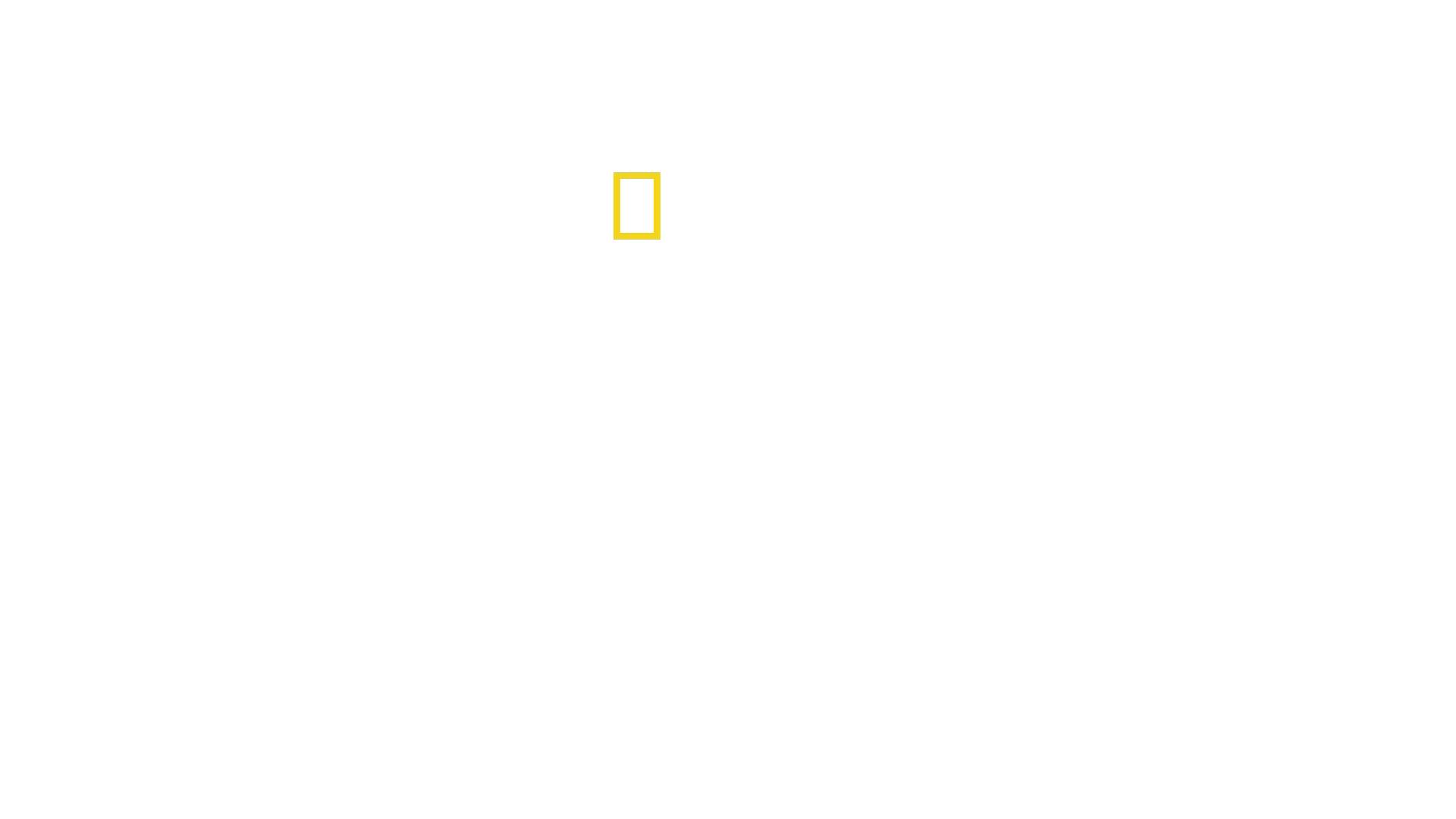 Vittnen till en katastrof