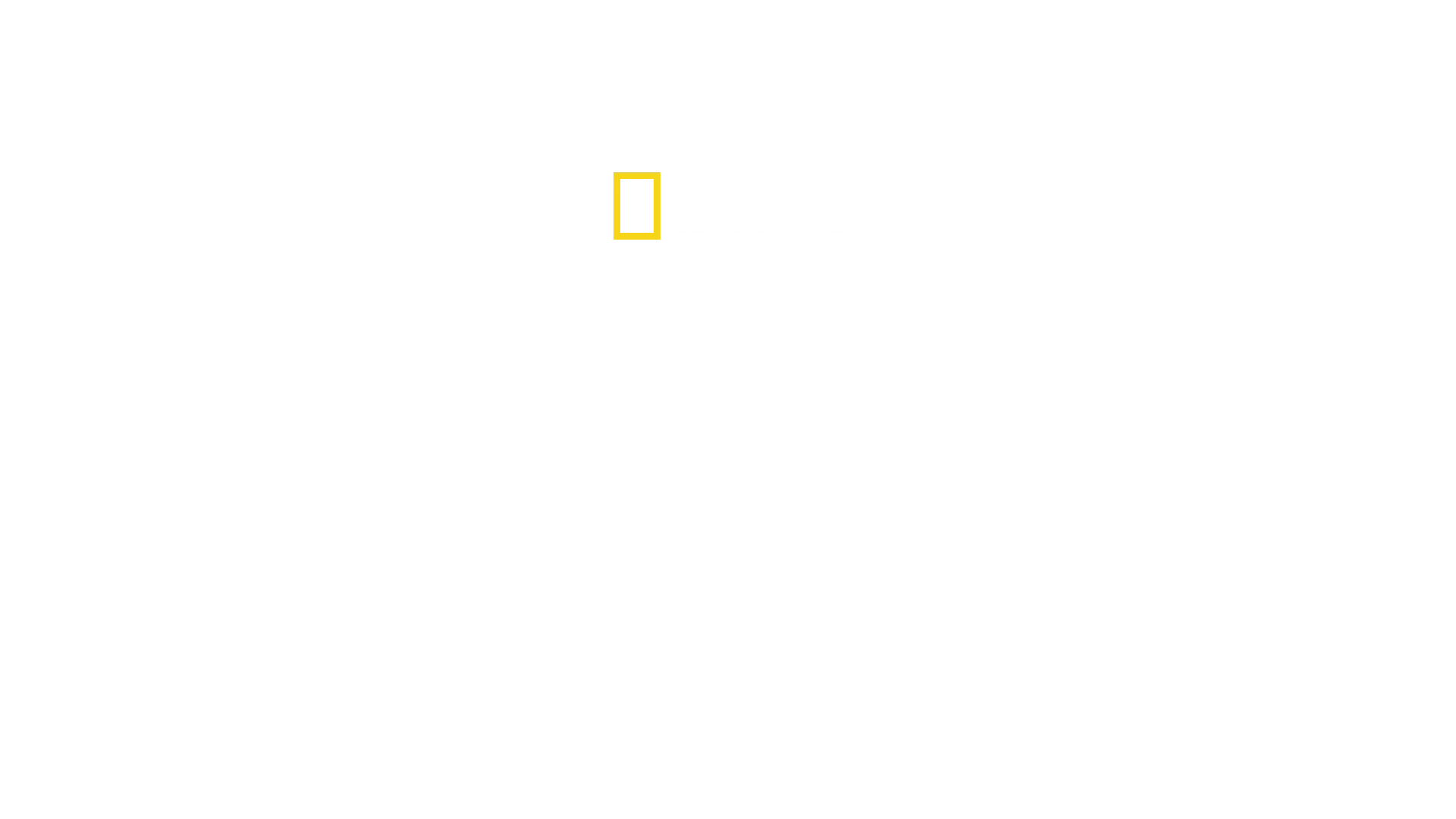 Vittnen till en katastrof