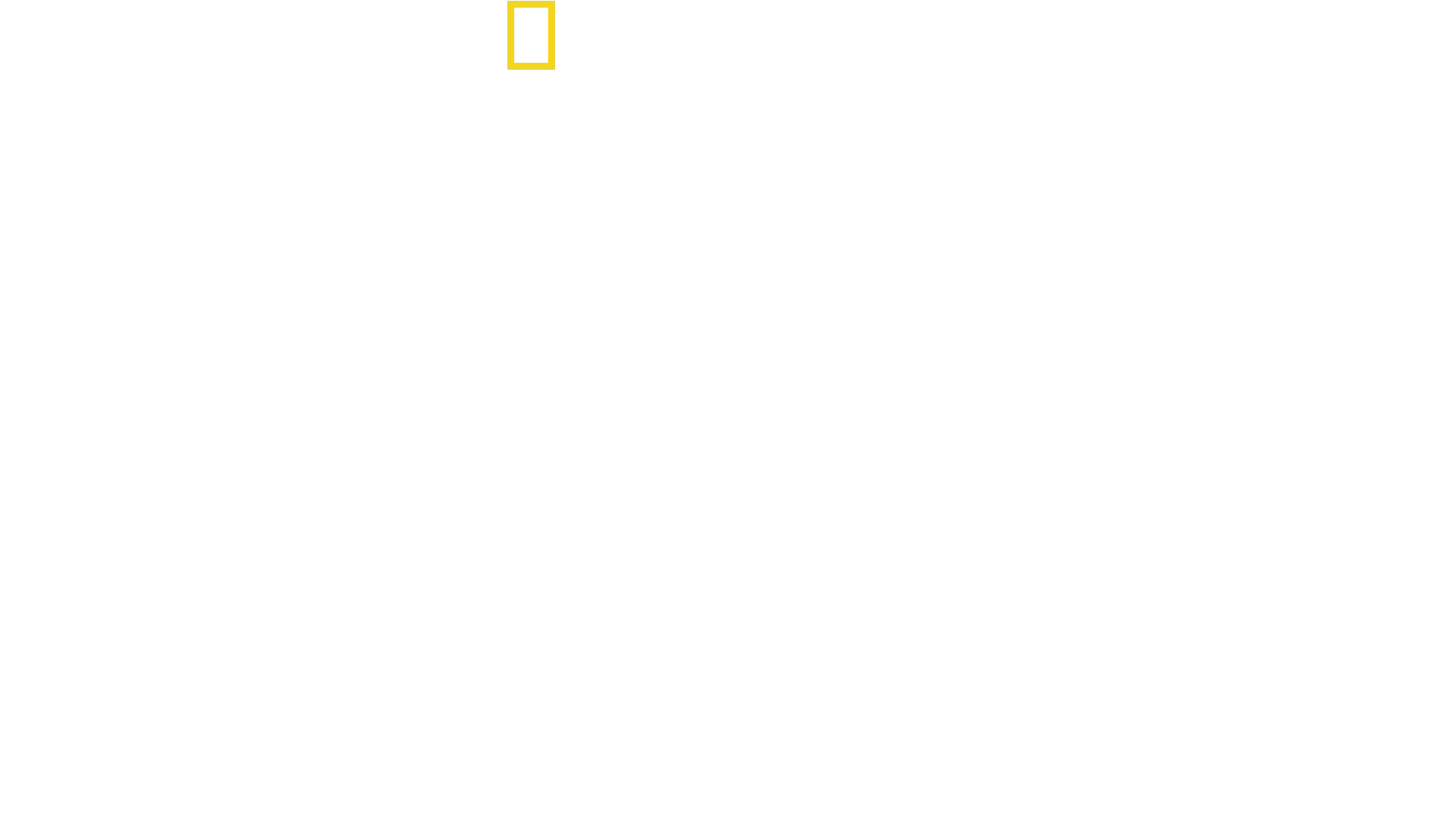 迪士尼動物王國探奇