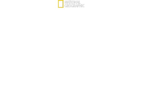 迪士尼動物王國探奇