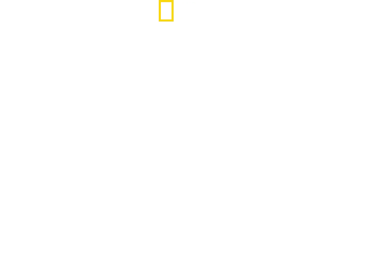 迪士尼動物王國探奇