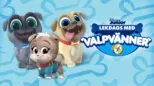 thumbnail - Lekdags med valpvänner