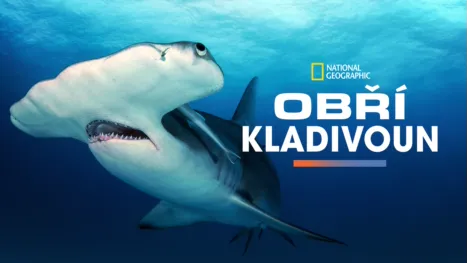 thumbnail - Obří kladivoun