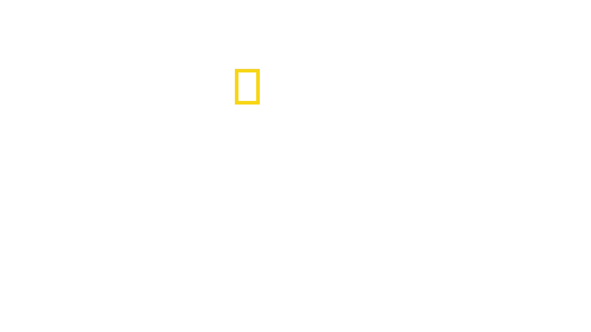 När hajar attackerar