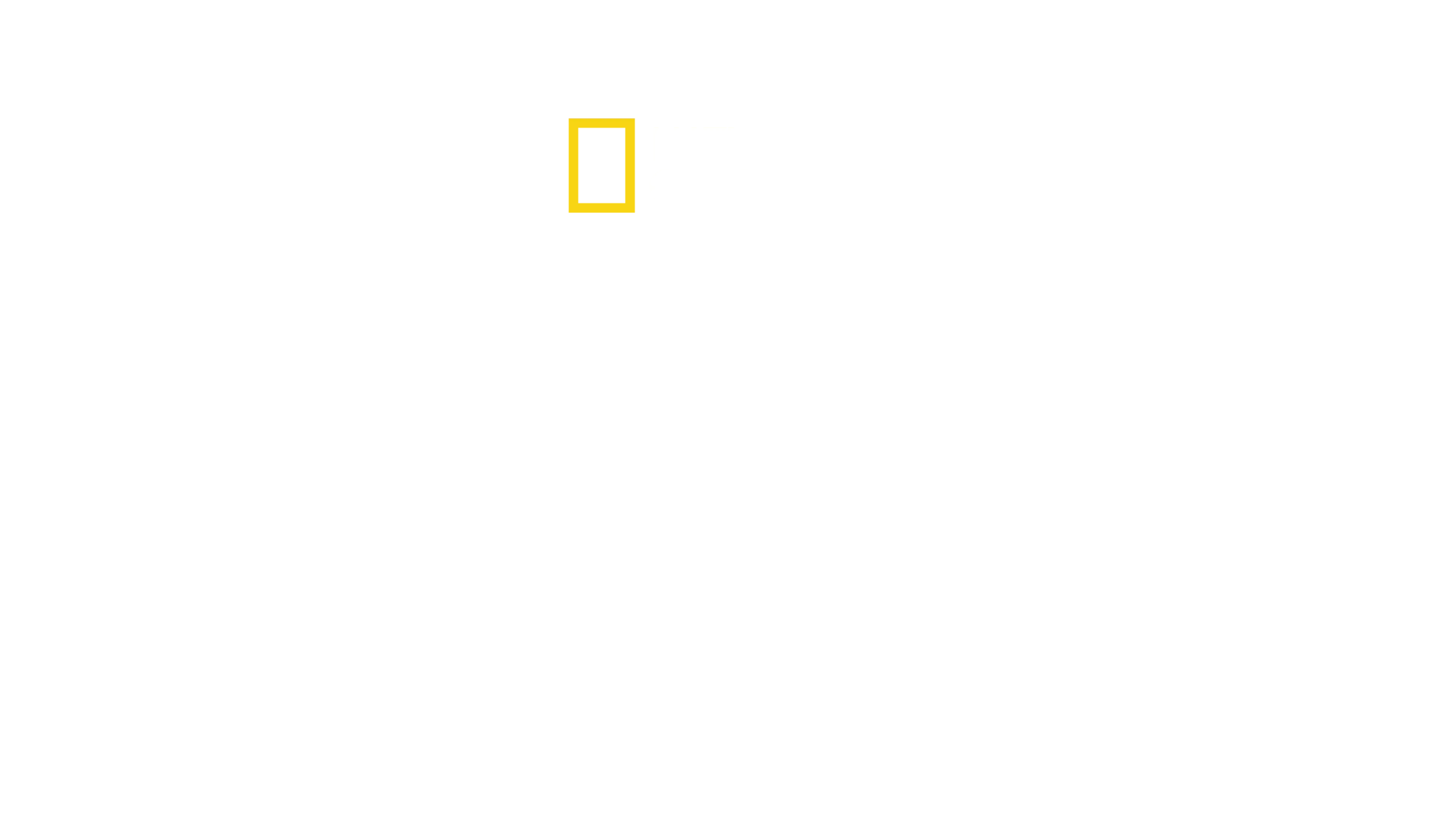 Tiburón despiadado