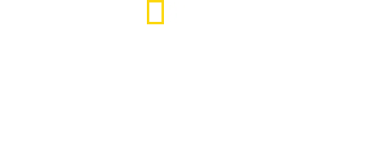 Tiburón despiadado
