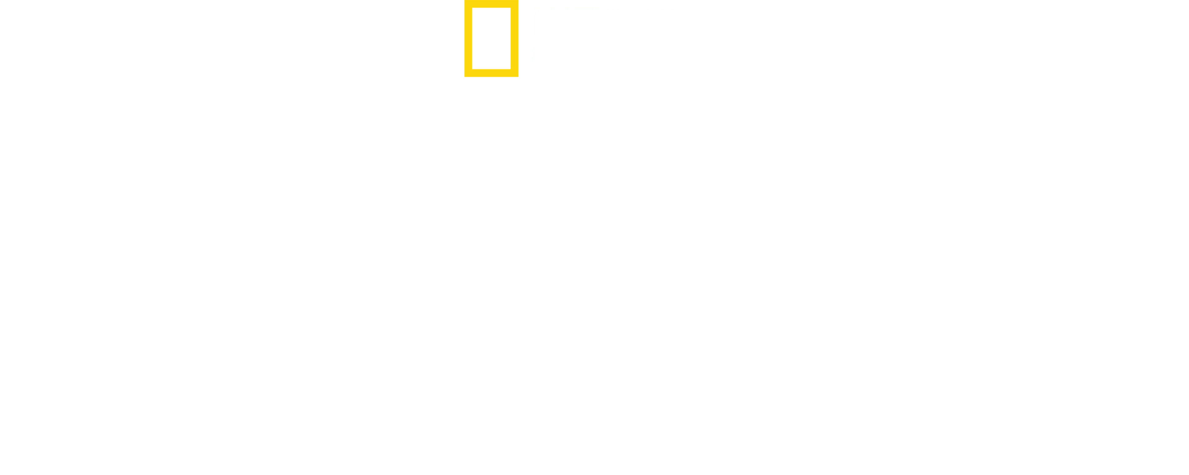 Tiburón despiadado