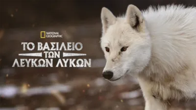 thumbnail - Το Βασίλειο των Λευκών Λύκων