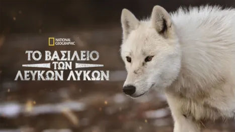 thumbnail - Το Βασίλειο των Λευκών Λύκων
