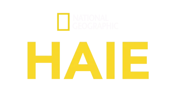 National Geographic – Haie