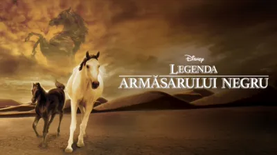 Tânărul armăsar negru