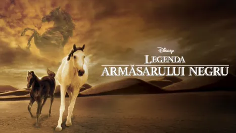 thumbnail - Tânărul armăsar negru