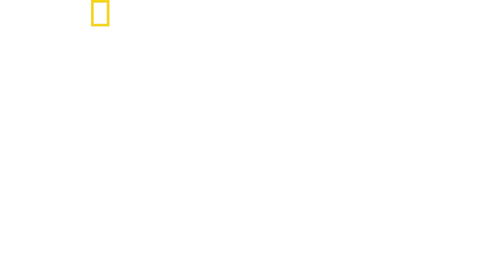 The New Air Force One: Flying Fortress