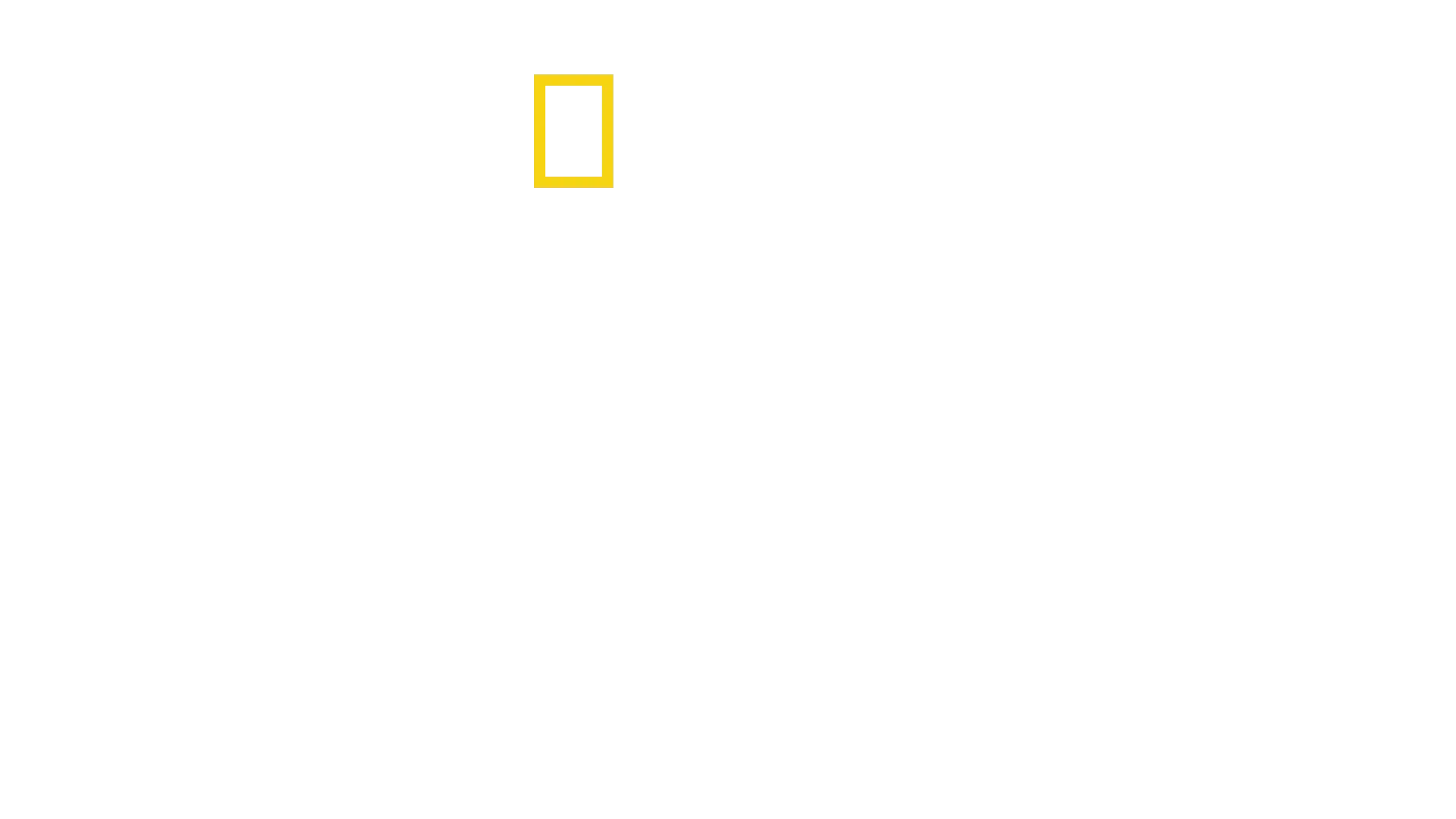죠스 @ 50: 전설의 비하인드 스토리
