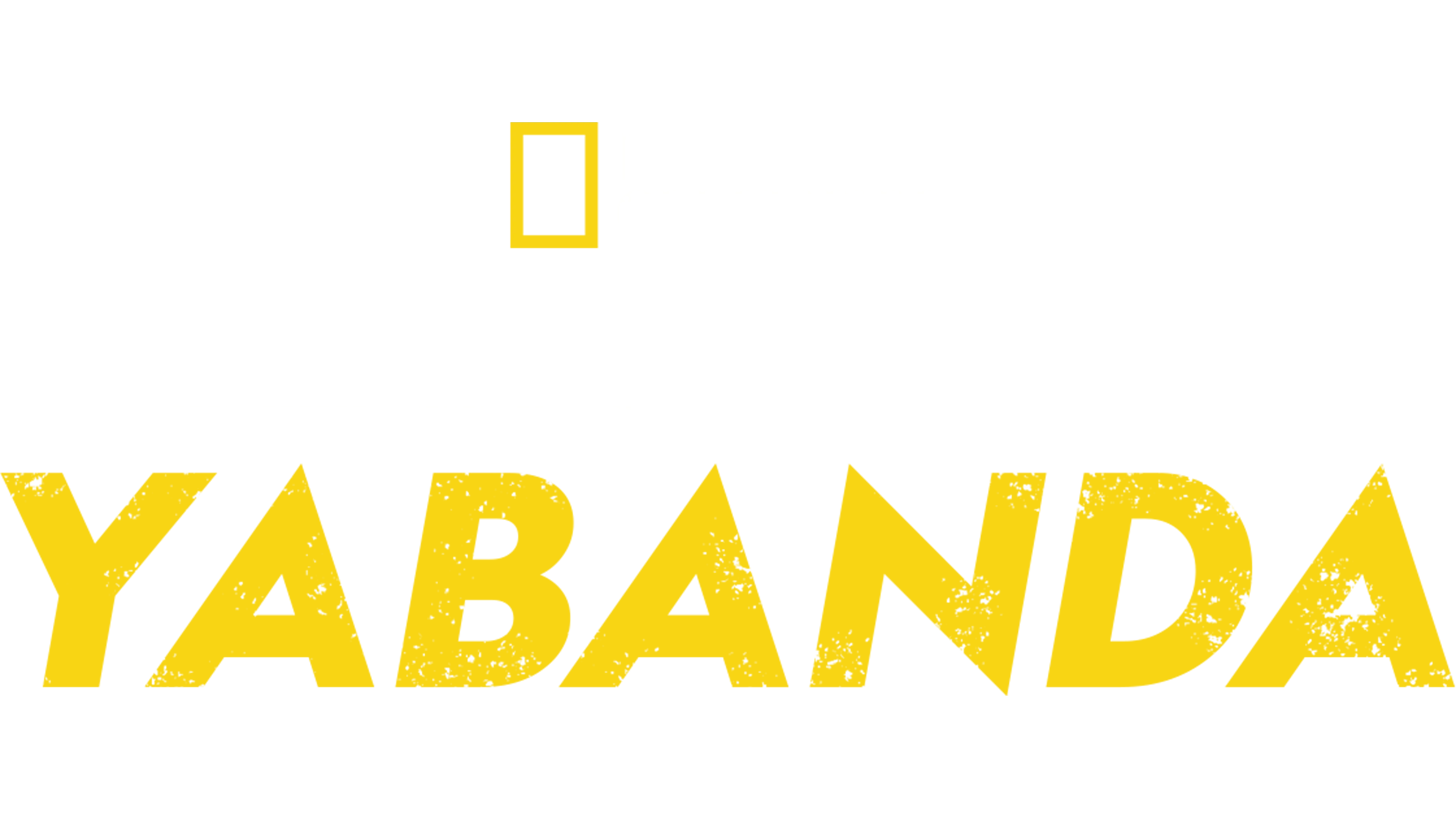 Bear Grylls ile Yabanda