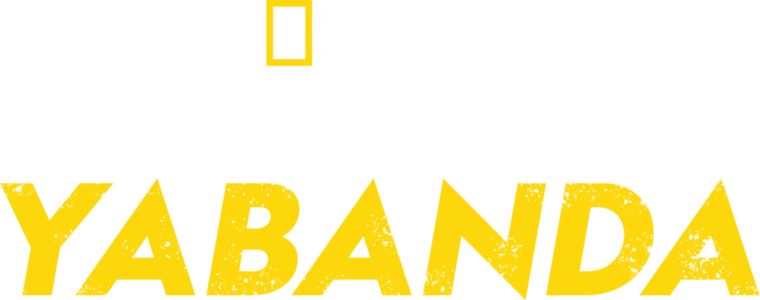 Bear Grylls ile Yabanda