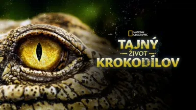 Tajný život krokodílov