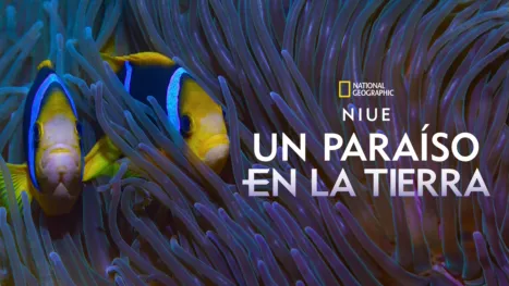 thumbnail - Niue: Un paraíso en la Tierra