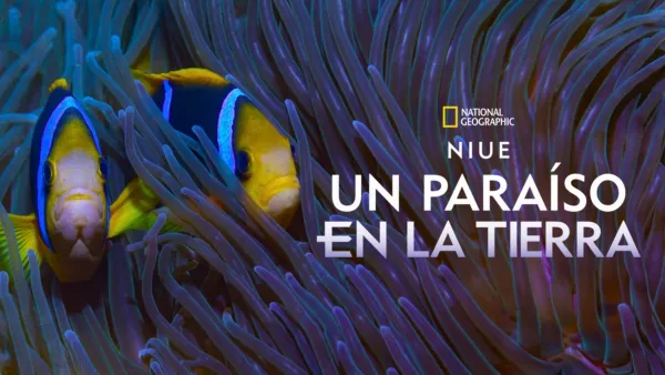 thumbnail - Niue: Un paraíso en la Tierra