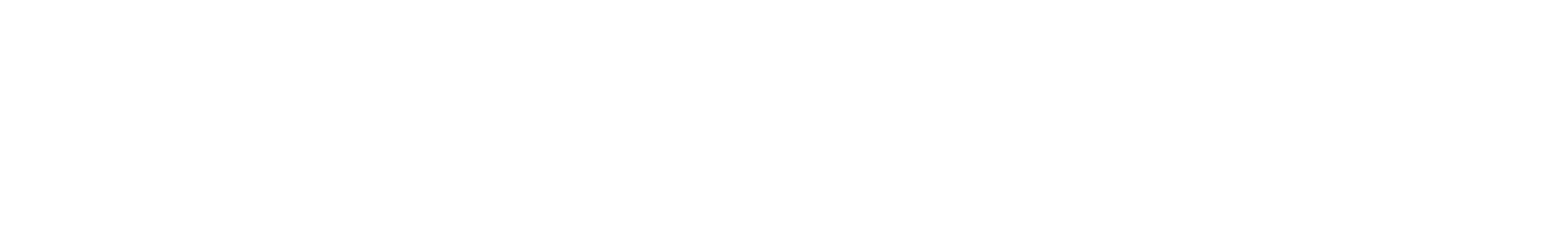 내 사랑 플리카