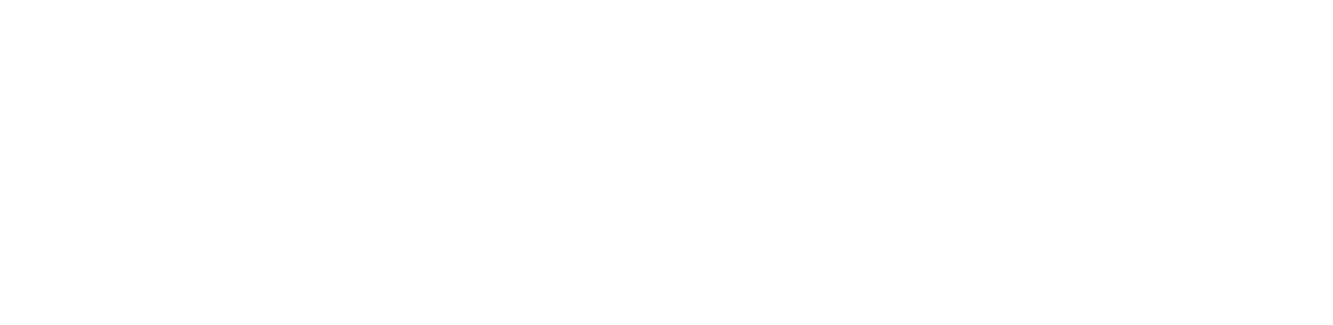 A főnök