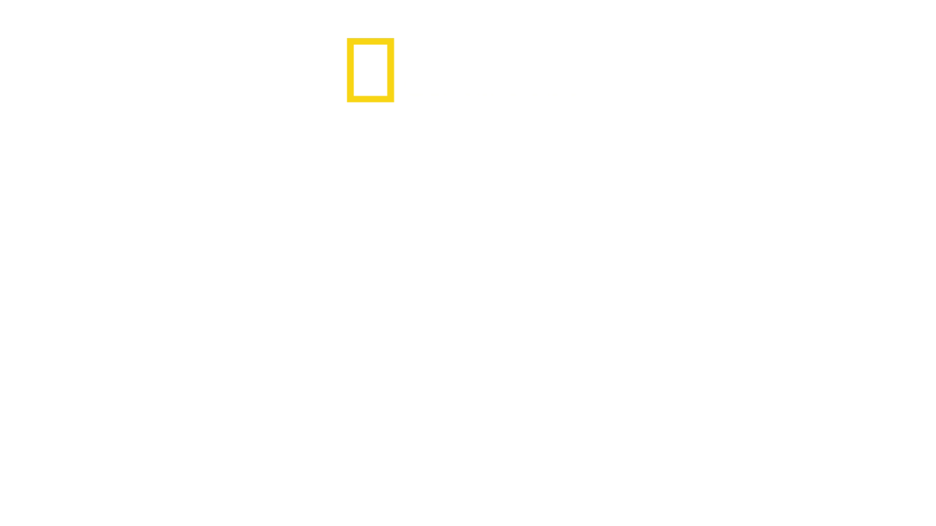 Dra. K: Animales exóticos