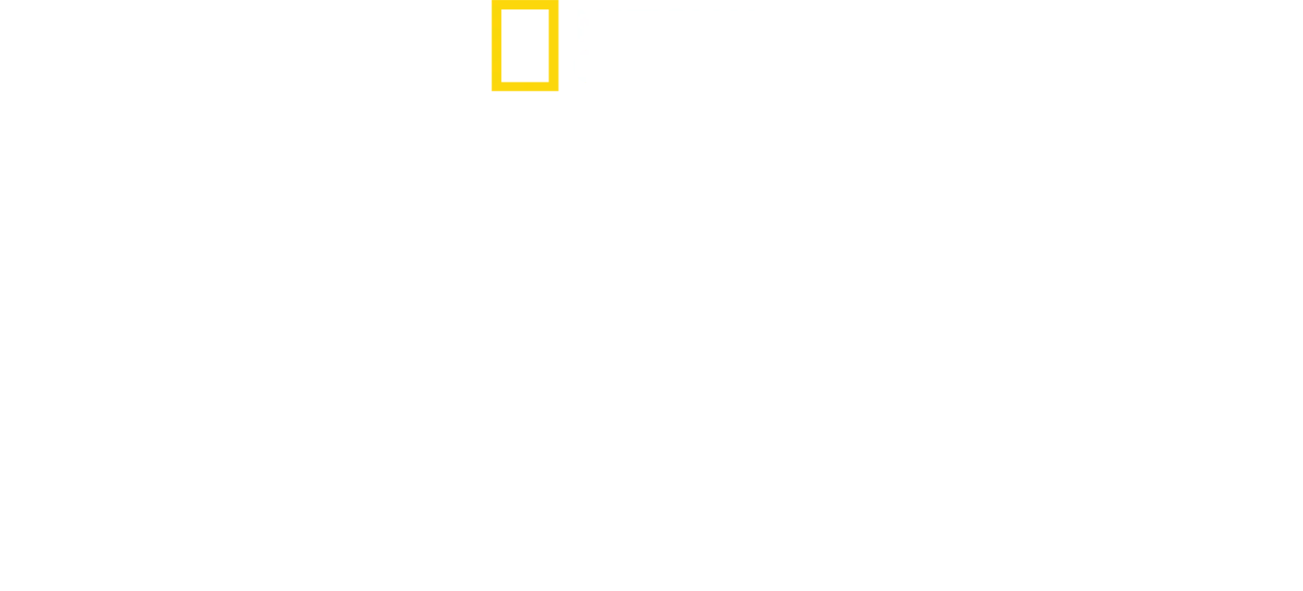 Dra. K: Animales exóticos