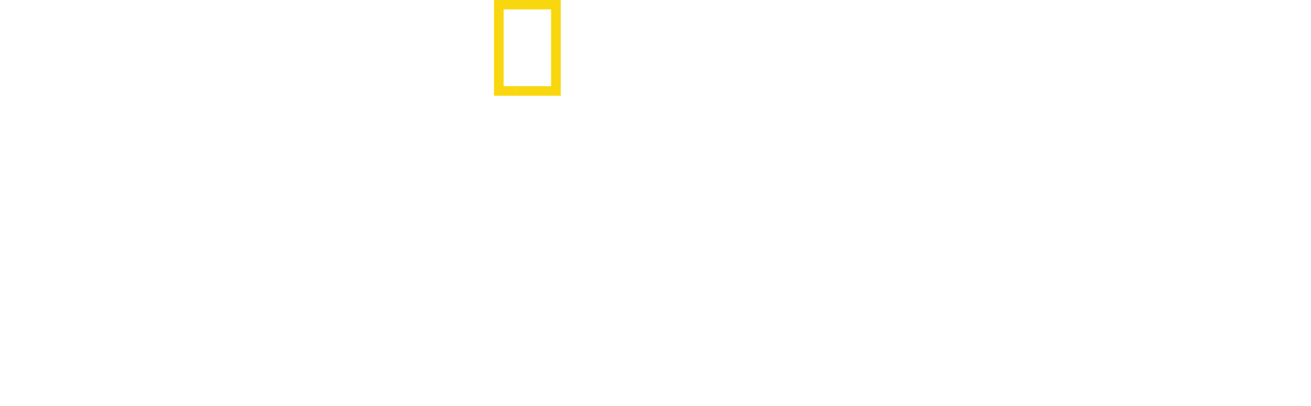 Triff die Schimpansen