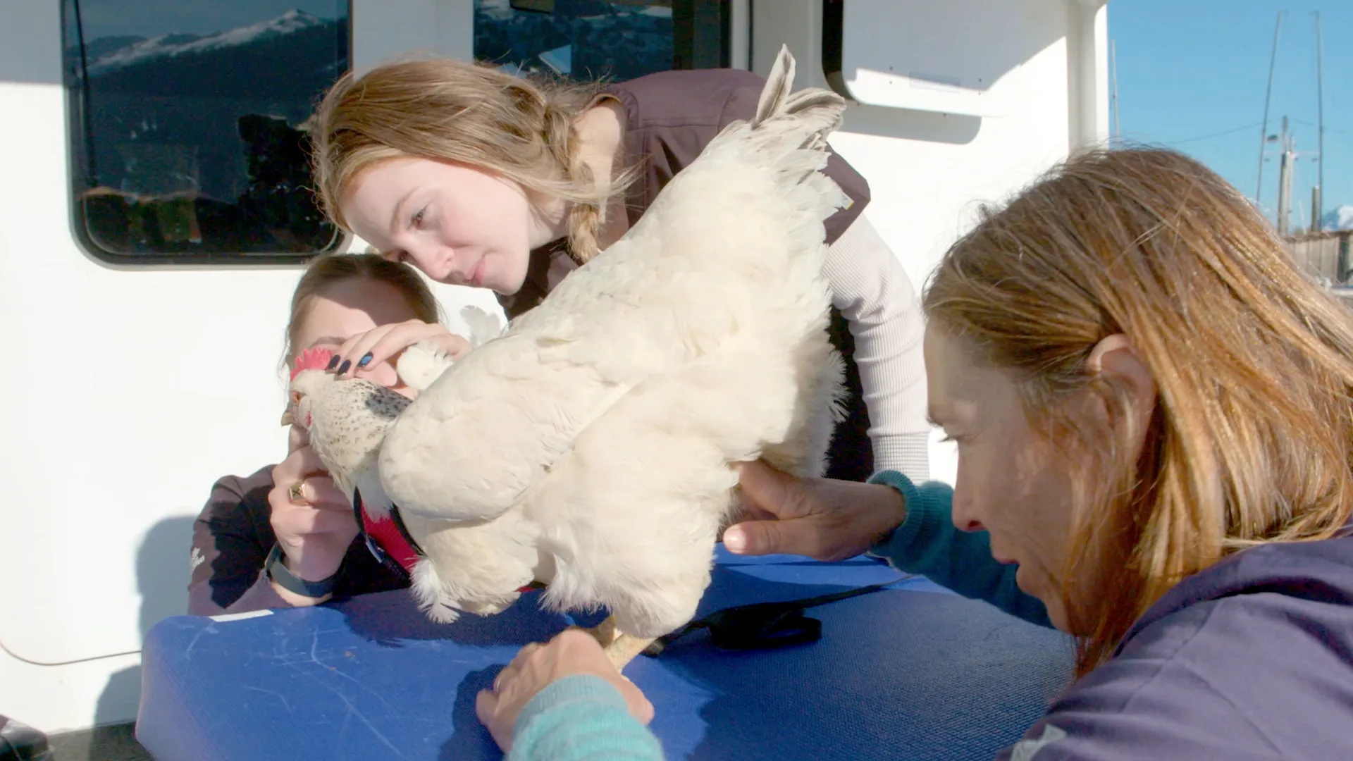 thumbnail - S10:E10 Chicken of the Sea
