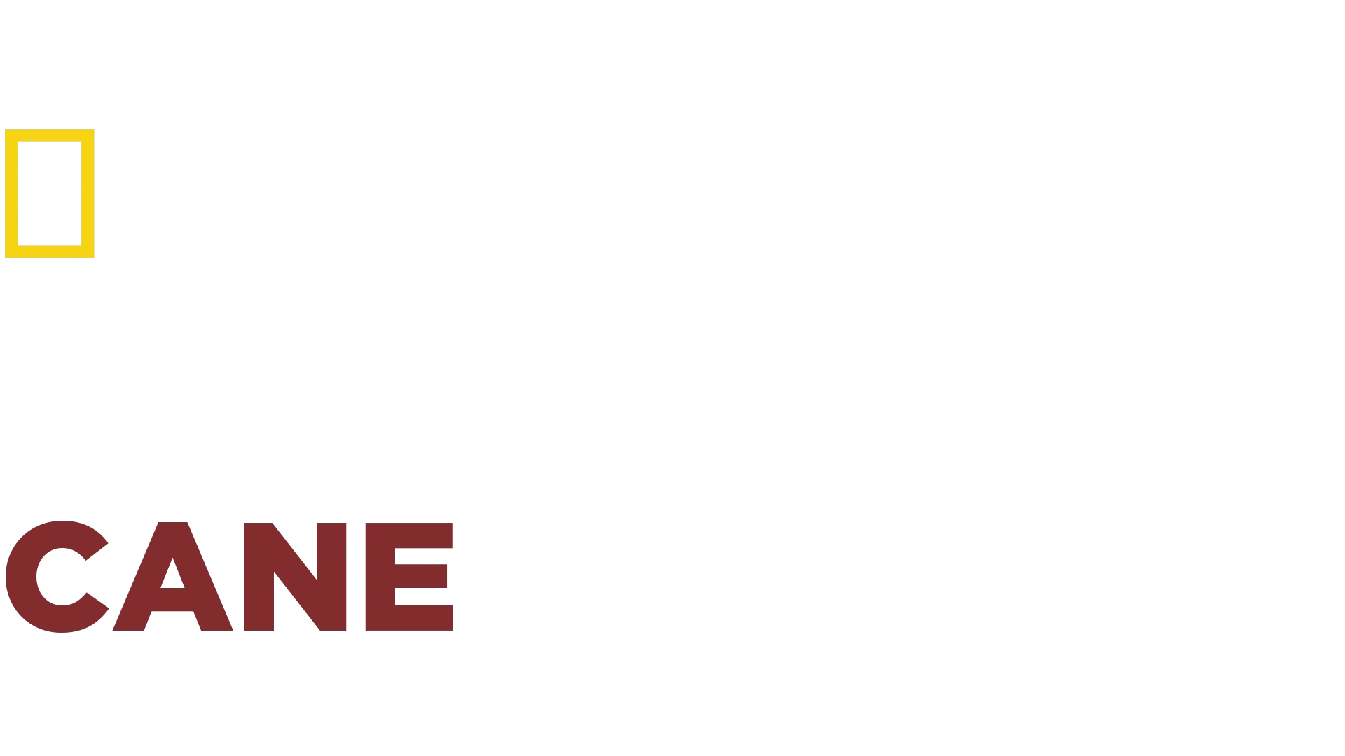 Le Regole Del Cane Perfetto