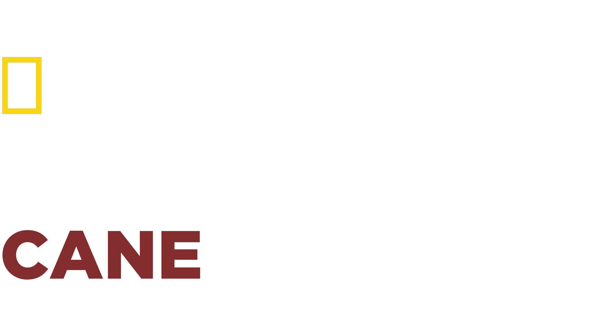 Le Regole Del Cane Perfetto