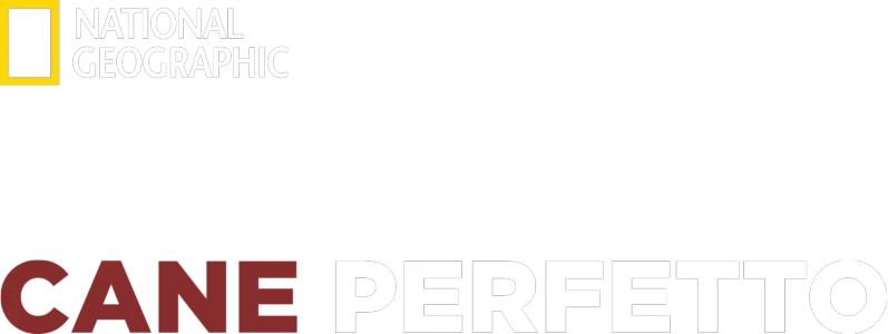 Le Regole Del Cane Perfetto