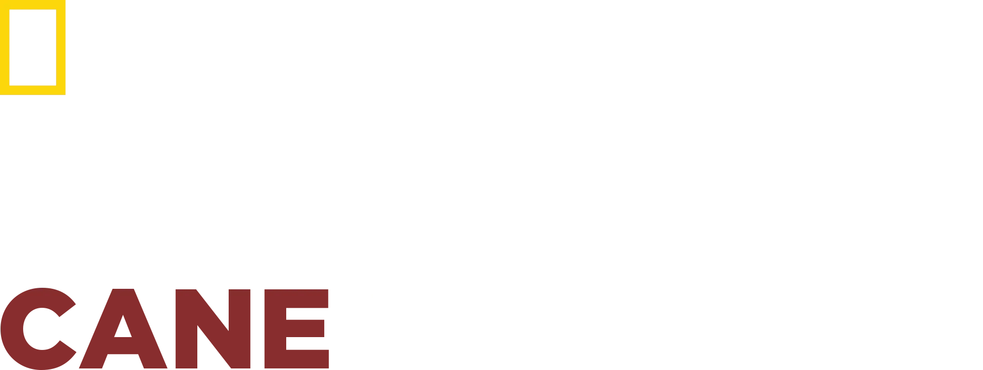 Le Regole Del Cane Perfetto