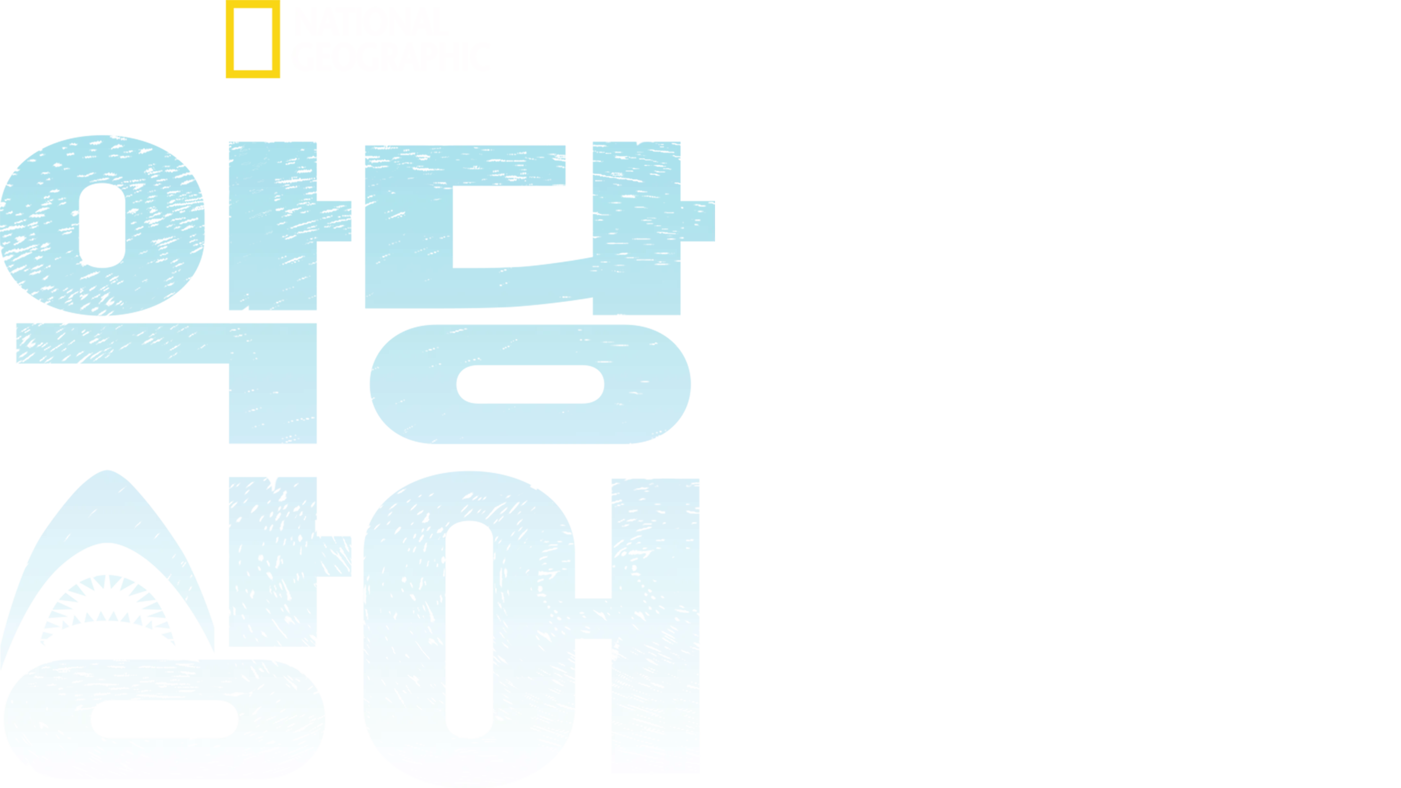 악당 상어