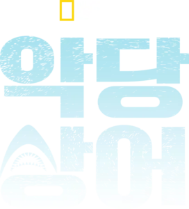 악당 상어