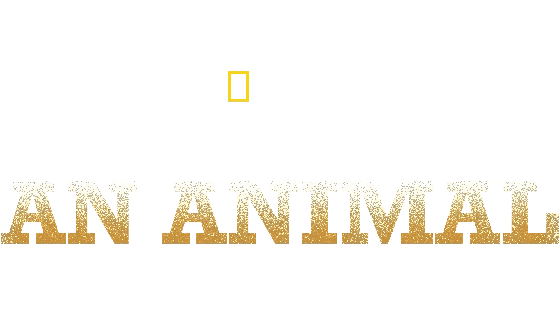 My Best Friend's An Animal