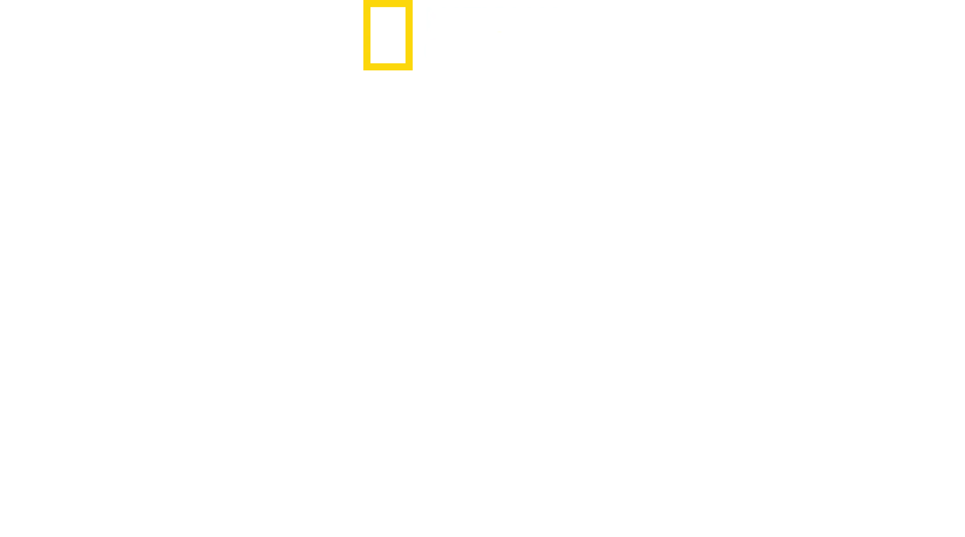 Rivalen: Haie vs. Orcas