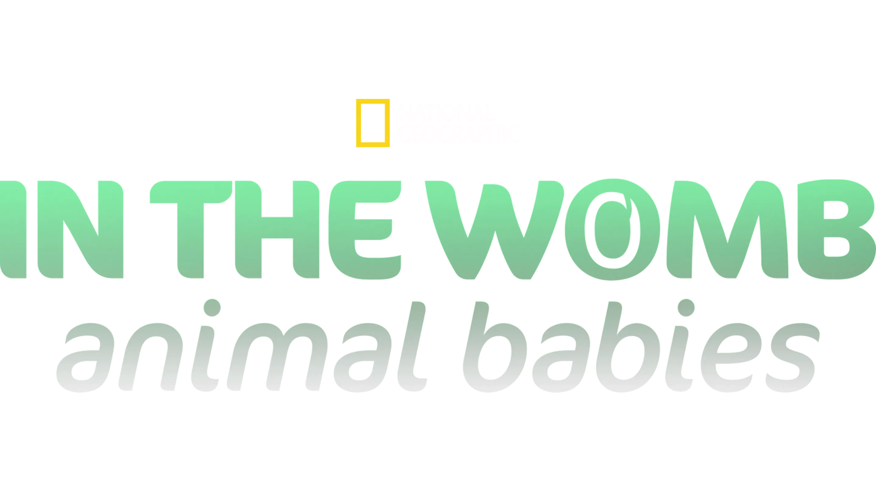 In The Womb: Animal Babies
