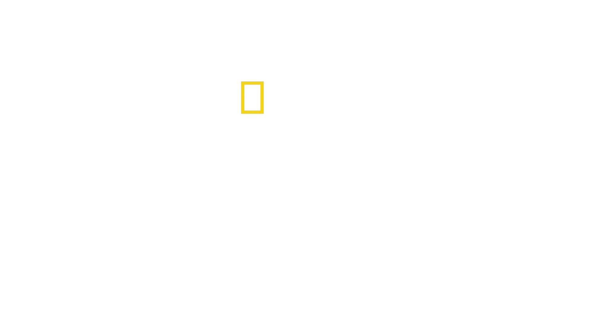 Tajemství kytovců