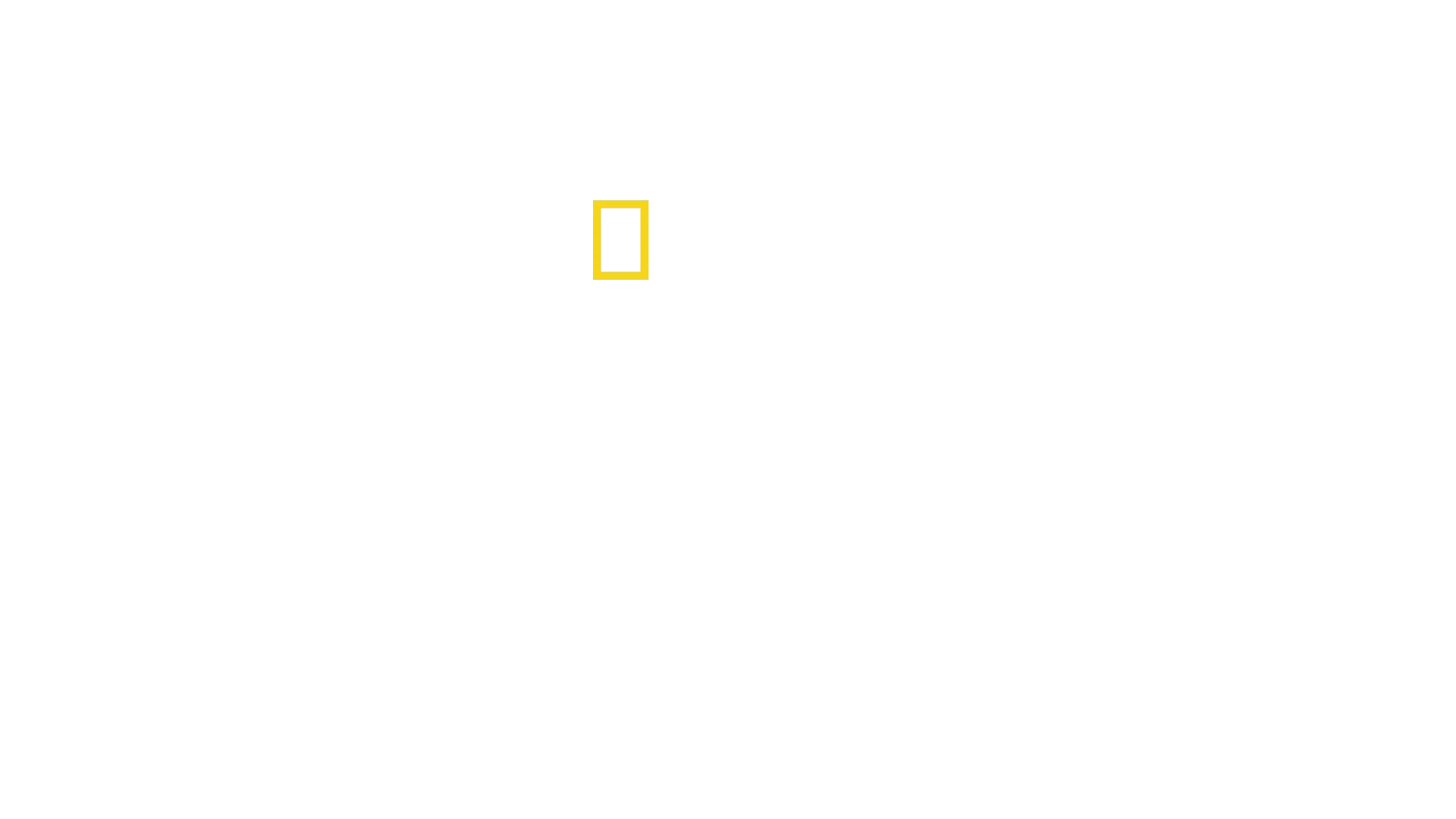 Tajemství kytovců