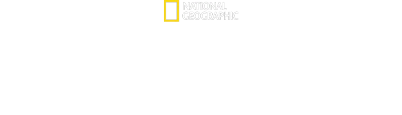 Tajemství kytovců