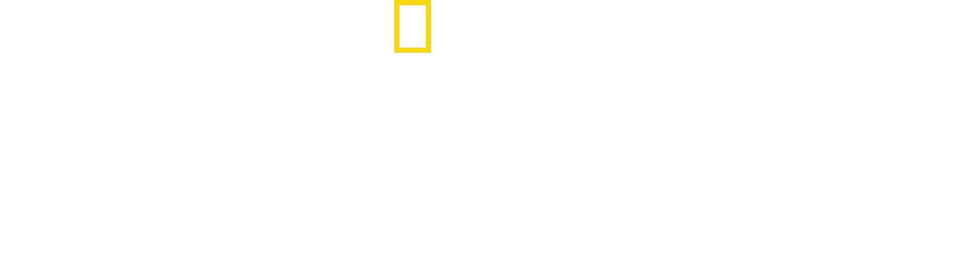 Tajemství kytovců