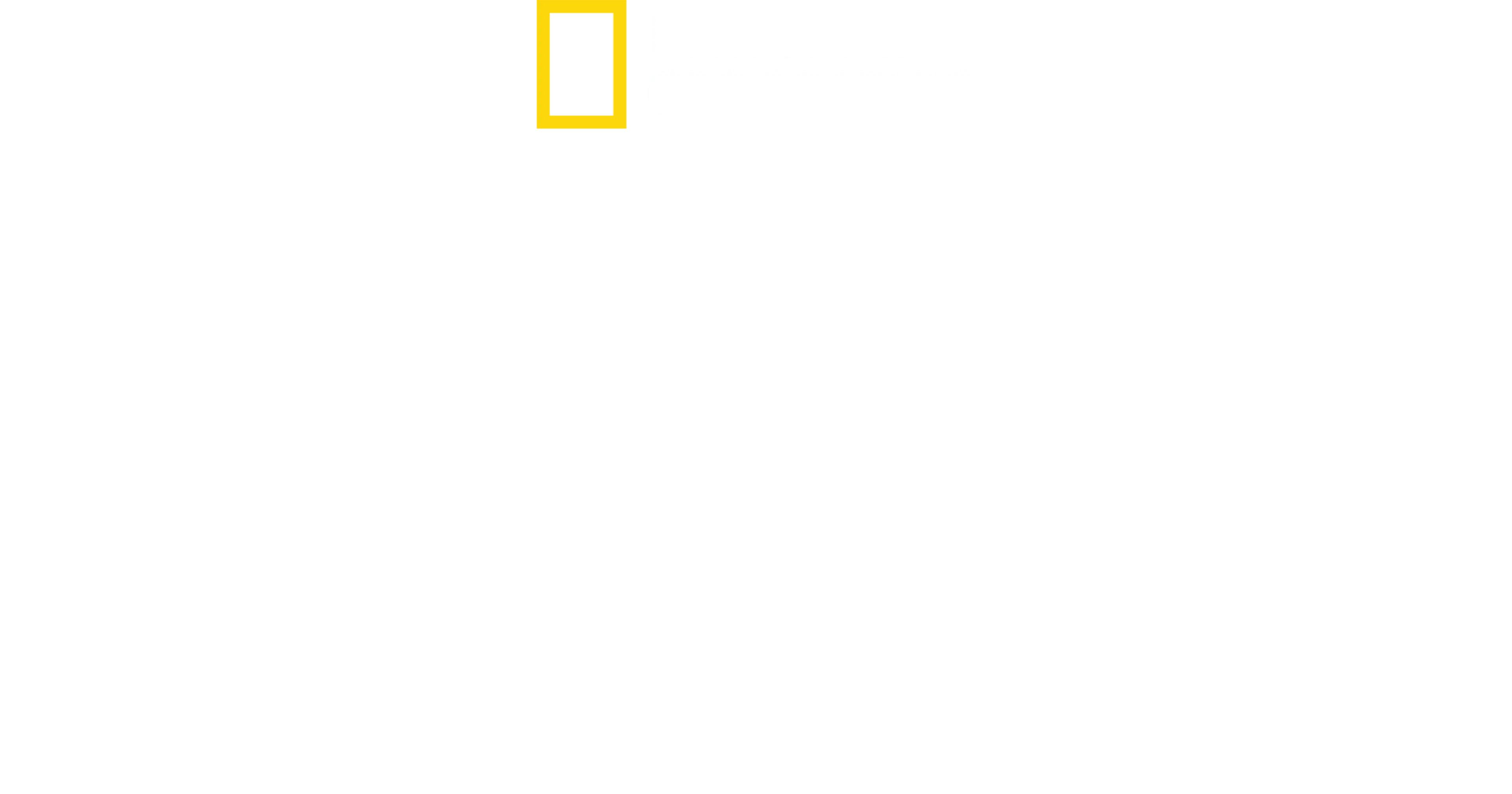 Maradona confidencial