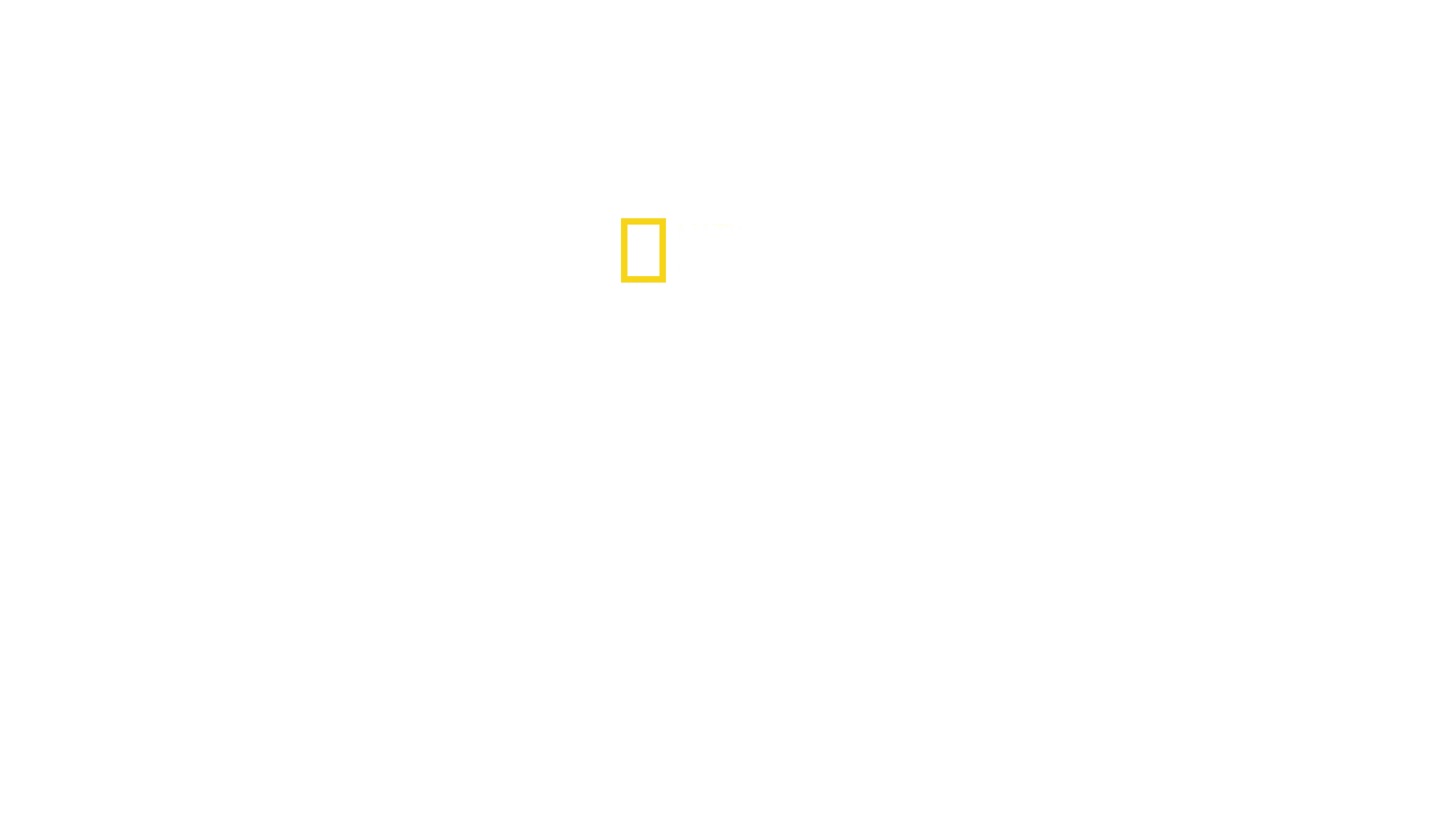 《動物成長軌跡》