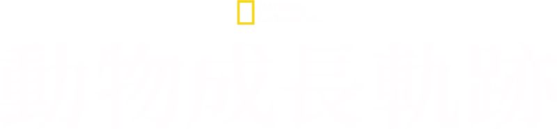 《動物成長軌跡》