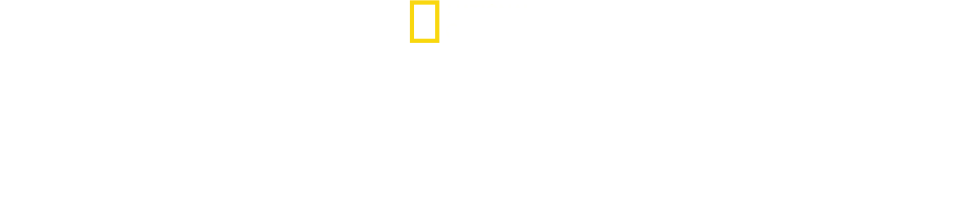 《動物成長軌跡》