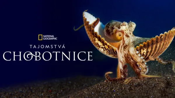 thumbnail - Tajomstvá chobotnice