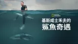 thumbnail - 基斯咸士禾夫的鯊魚奇遇